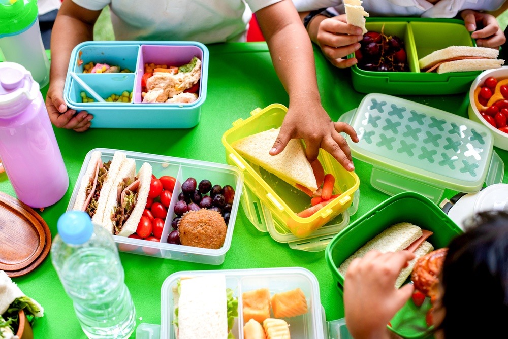 Banner da matéria Lancheira escolar: como manter o lanche fresco em dias de calor intenso